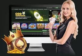 bet177 com